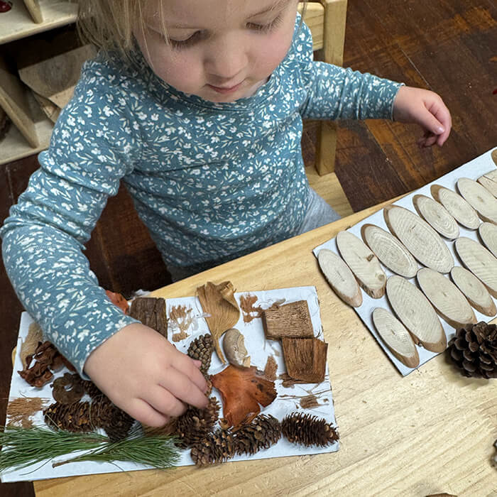 Mini Masterminds Child Care A young child arranges natural materials like pine cones, wood pieces, and leaves on a piece of paper at a wooden table.